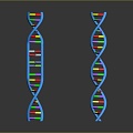 molecular chain gene chain digital daily necessities 3d model