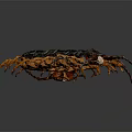 Black Centipede With Multiple Orange Legs And Long Segmented Body On Gray Background 3d model