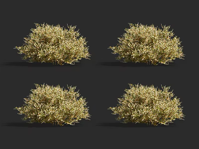 Dense Golden Foliage Shrubs Four Angles 3D Models For Landscape Design 3d model