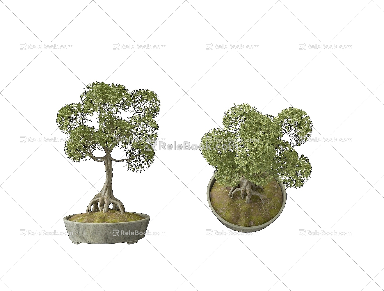 Bonsai model