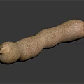 Fresh Ripe Tamarind Fruit with Natural Brown Texture on Dark Surface