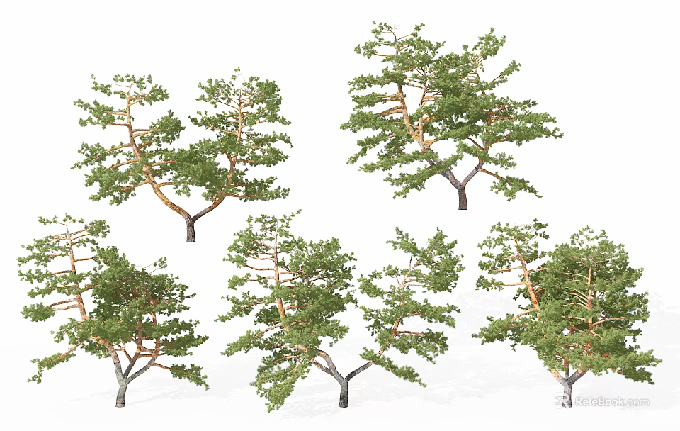Various Pine Trees with Green Foliage and Brown Trunks in Different Forms 3d model 