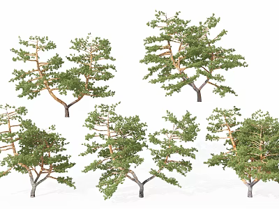 Various Pine Trees with Green Foliage and Brown Trunks in Different Forms 3d model
