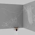 Detailed Spider On Gray Open Surface With Intricate Spider Web Patterns 3d model