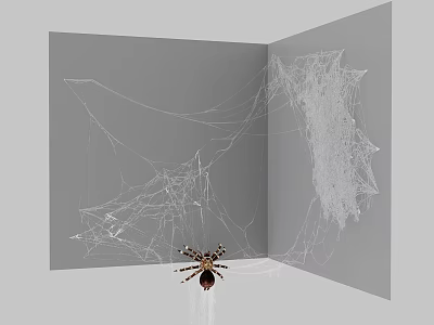 Detailed Spider On Gray Open Surface With Intricate Spider Web Patterns 3d model