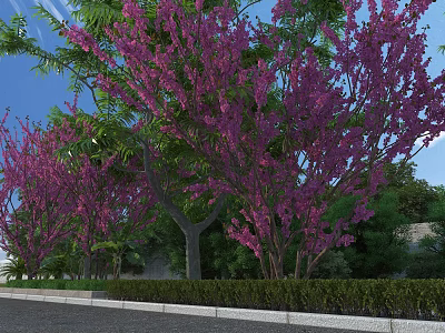 Municipal Road Landscape With Purple Flowering Trees And Green Shrubs 3d model