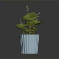 Green Potted Plant with Lily Pad Like Leaves in Light Blue Ribbed Pot