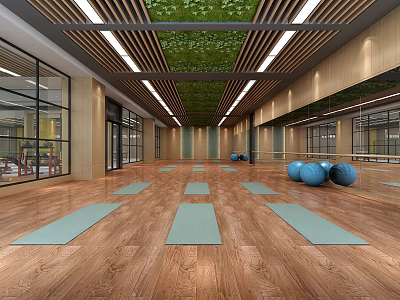 Spacious Fitness Studio Interior With Yoga Mats Exercise Balls Wooden Flooring And Green Plant Ceiling 3d model