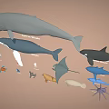 Various Marine Animals With Sperm Whales Dolphins Penguins Seals And Walruses