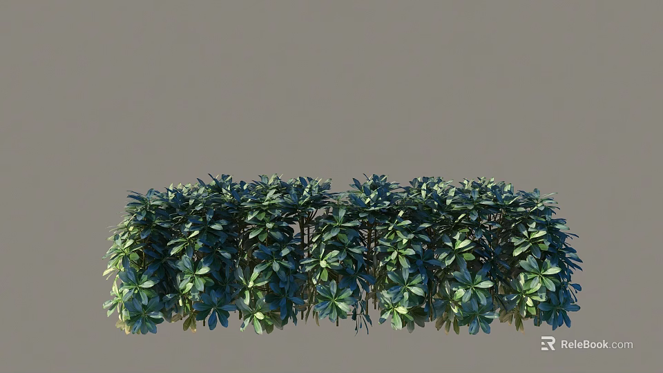 Lush Green Bushes With Dense Foliage And Vibrant Leaves In Garden 3d model 