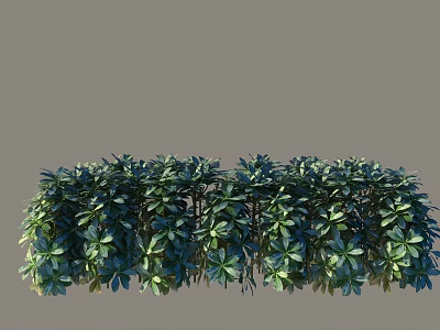 Lush Green Bushes With Dense Foliage And Vibrant Leaves In Garden 3d model