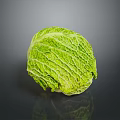 Fresh Green Cabbage With Textured Leafy Outer Layers On Dark Surface 3d model