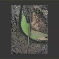 3D Terrain Model Display With Green Areas Road Trees And Rolling Hills
