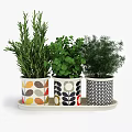 Decorative Bonsai Potted Plants with Colorful Patterned Pots and Fresh Green Herbs on White Tray
