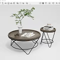 Modern Round Coffee Table Set with Geometric Metal Frame Green Plant and Books