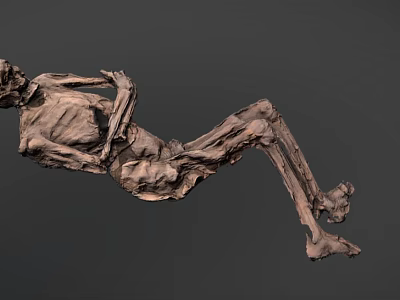 Artistic 3D Human Skeleton Sculpture in Lying Position with Detailed Structure 3d model