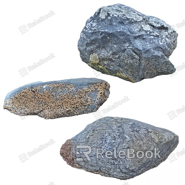 Modern gardening sketch rock beach photogrammetry stone model