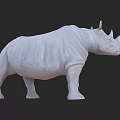 White Reptile Model With Smooth Texture Displayed On Dark Background