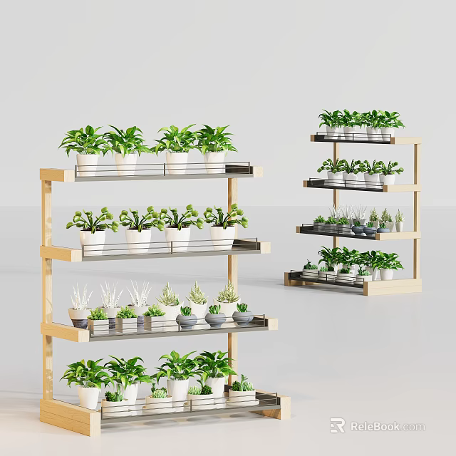 Multi tiered Wooden Shelves Displaying Various Small Potted Green Plants 3d model 