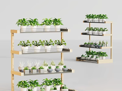 Multi tiered Wooden Shelves Displaying Various Small Potted Green Plants 3d model