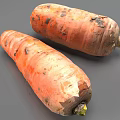 Fresh Organic Carrots With Green Tops And Natural Skin Texture