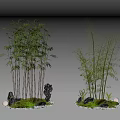 Decorative Bamboo Plants with Stones Moss and Black Statue in Miniature Landscapes