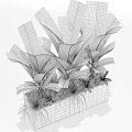 Lush Potted Plants With Large Green Leaves In Black Rectangular Planter And Mixed Grasses