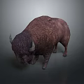 Realistic Bison With Purple Brown Rough Textured Skin And Curved Horns