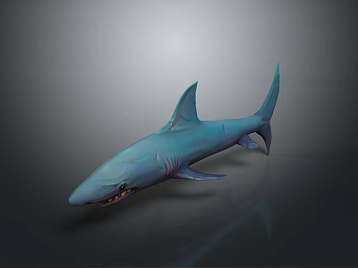Blue Shark 3D Render Marine Animal With Sharp Teeth And Fins 3d model