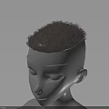 Anatomical 3D Head Model Showing Face Organs And Hair Structure Details