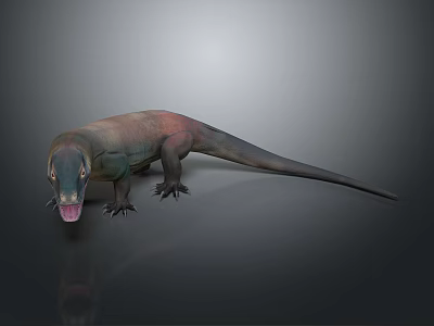 Realistic Komodo Dragon With Open Mouth Extended Tongue And Brown Green Body On Gray Background 3d model