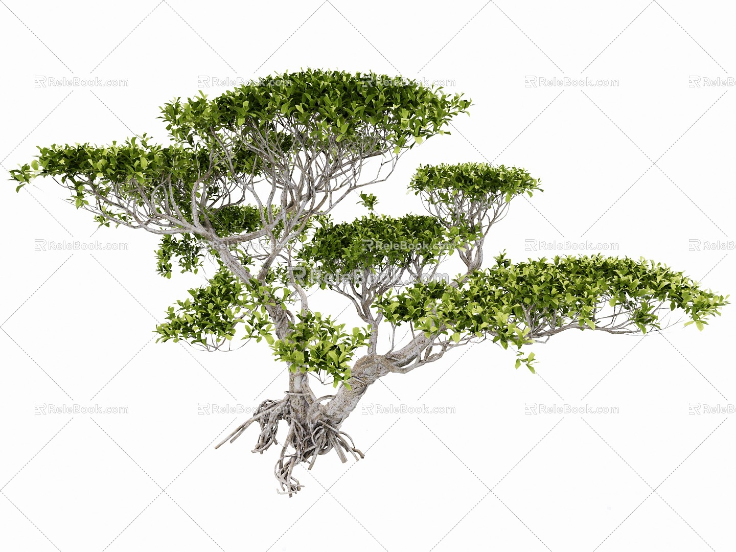 modeling tree modeling loose 3d model