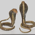 Reptile Cobras With Coiled Bodies And Scaled Skin Displaying Natural Reptilian Features