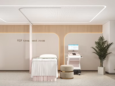 Elegant Modern Beauty Salon VIP Treatment Room With Treatment Bed Equipment And Plant 3d model