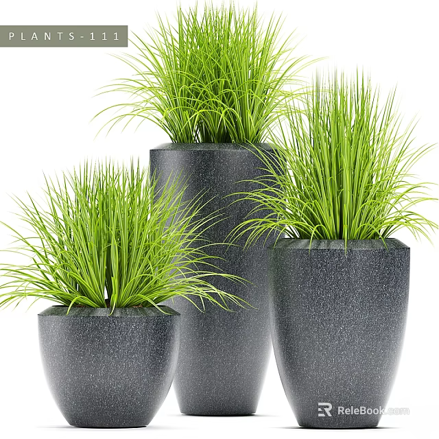 Sleek Black Planters Featuring Green Grass For Contemporary Garden Decor Pieces 3d model 