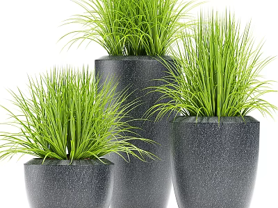 Sleek Black Planters Featuring Green Grass For Contemporary Garden Decor Pieces 3d model