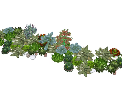 Bonsai Potted Plants Featuring Various Colorful Succulents With Small Pebbles 3d model