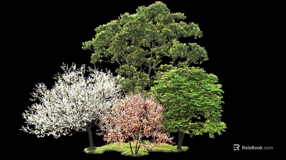 Various Arbor Trees With Colorful Leaves White Blossoms And Pink Foliage In Garden 3d model 
