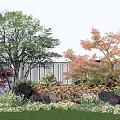 Vibrant Garden Shrubs With Colorful Trees Rocks And Green Grass Landscape