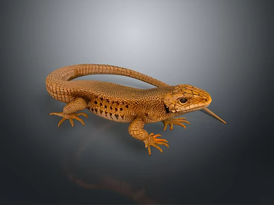 Brown Reptile Lizard With Scaly Skin And Extended Tongue On Gray Background 3d model