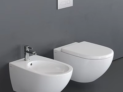 Modern Wall Mounted White Toilet With Matching Bidet Against Gray Wall In Contemporary Bathroom 3d model