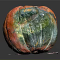 Vibrant Multi Colored Textured Pumpkin On Black Background With Reflective Surface
