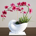 White Shell Shaped Vase With Pink Orchids Green Plants And Blue Flowers On Wooden Table