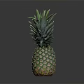 Fresh Ripe Pineapple With Green Leafy Top And Yellow Textured Skin On Dark Background
