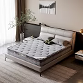 Double Bed In Bright Bedroom With Leather Headboard Gray Mattress Green Plant And Wall Art