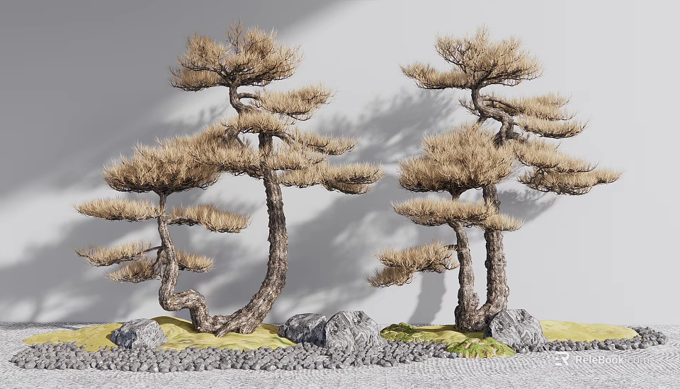 Ornamental Pine Trees With Bent Trunks Brown Foliage Stones And Grass On Gray Background 3d model 