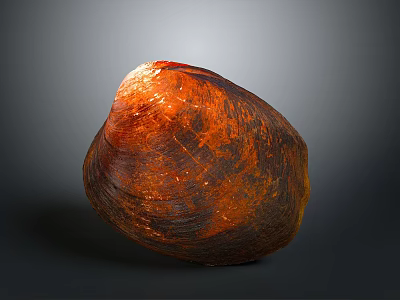 Close Up View Of Orange Red Shellfish With Shiny Surface On Gray Background 3d model