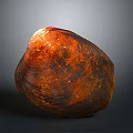 Close Up View Of Orange Red Shellfish With Shiny Surface On Gray Background