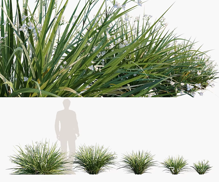 Green Grass and White Flowers with Lush Leaves in Outdoor Garden Setting 3d model 