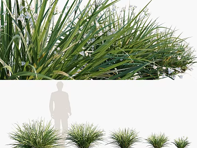 Green Grass and White Flowers with Lush Leaves in Outdoor Garden Setting 3d model